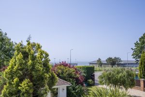 Photo 39- click for photo gallery